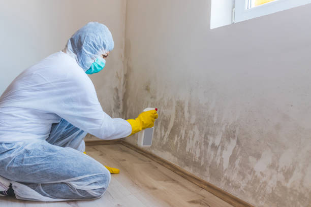 Licensed Commercial Mold Remediation service in Fort Washington, MD - WQB Mold Removal