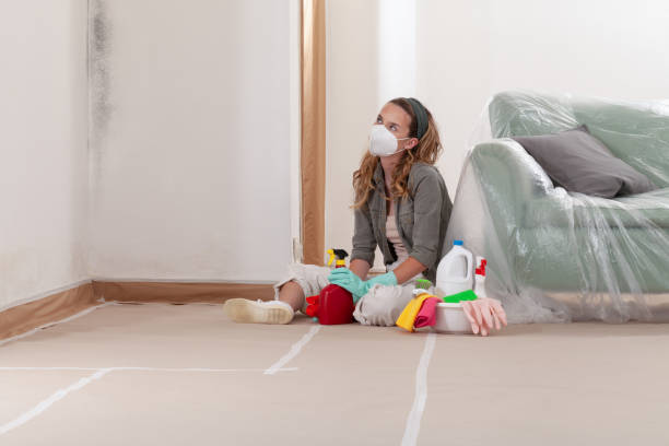 Reliable Commercial Mold Remediation contractor in Fort Washington, MD by WQB Mold Removal