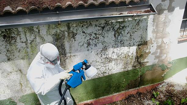 Top rated local Commercial Mold Remediation specialists in Fort Washington, MD